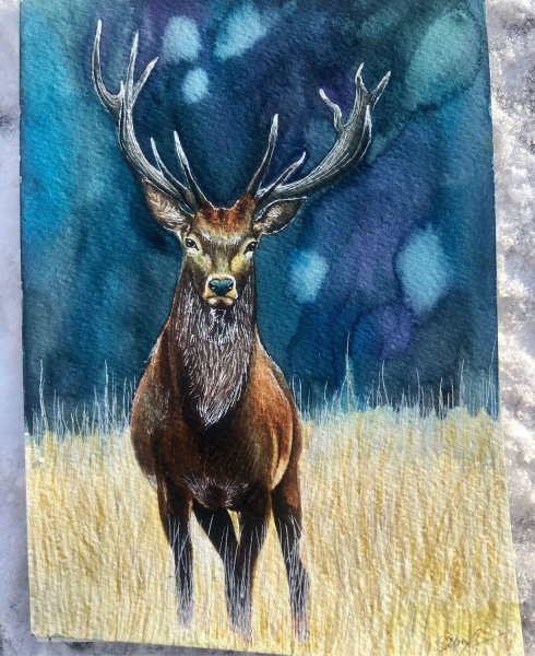 Акварельный олень