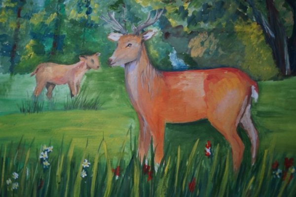 Олени в лесу гуашью для начинающих