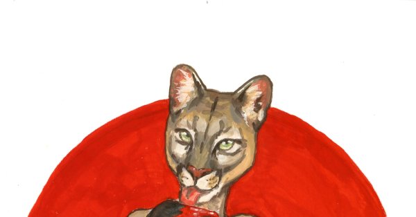 Пума гуашью