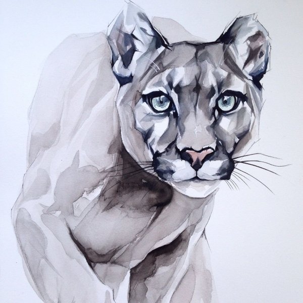 Пантера акварелью