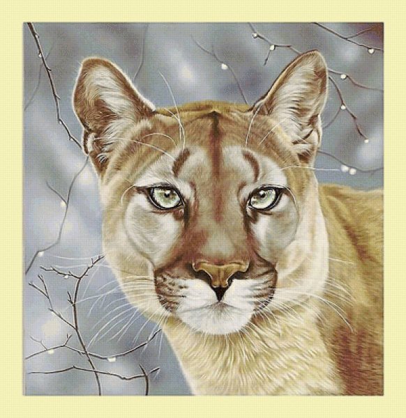 Вышивка Пума