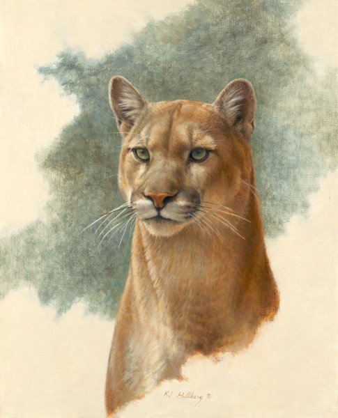 Зарисовки животных Пума