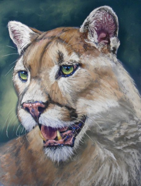 Портреты животных