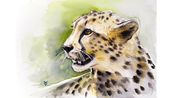 Гепард акварелью