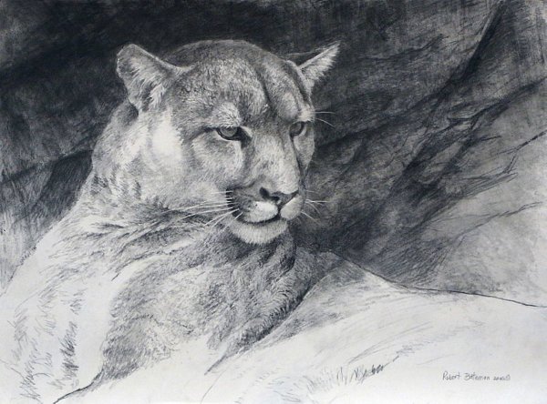 Анималистика Графика