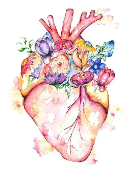 Сердце акварель