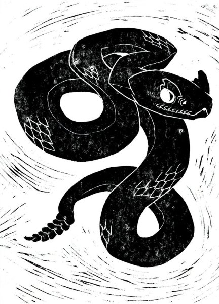 Гадюка рисунок