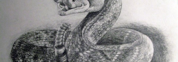 Гадюка живопись