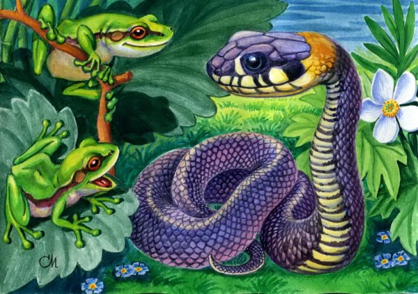 Змея карандашом