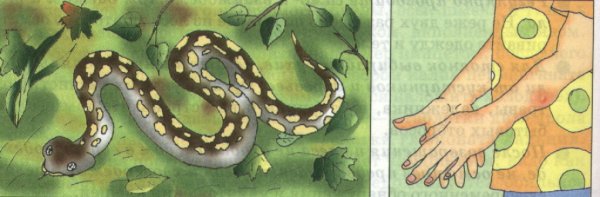 Змеи акварелью