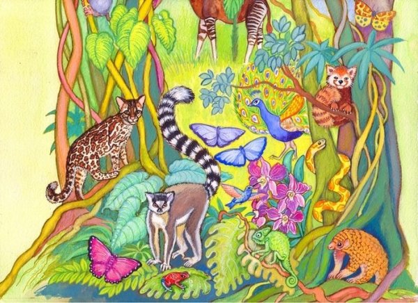 Джунгли красками иллюстрации