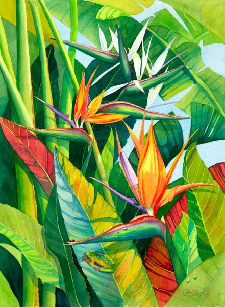 Джим холокауст тропики