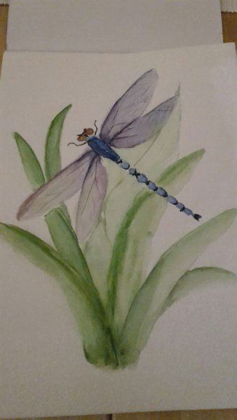 Рисование Стрекоза старшая группа