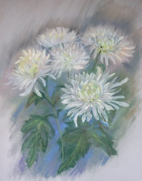 Хризантемы сухой пастелью