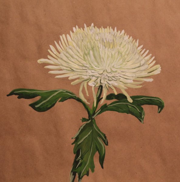 Астры Дубки хризантемы живопись