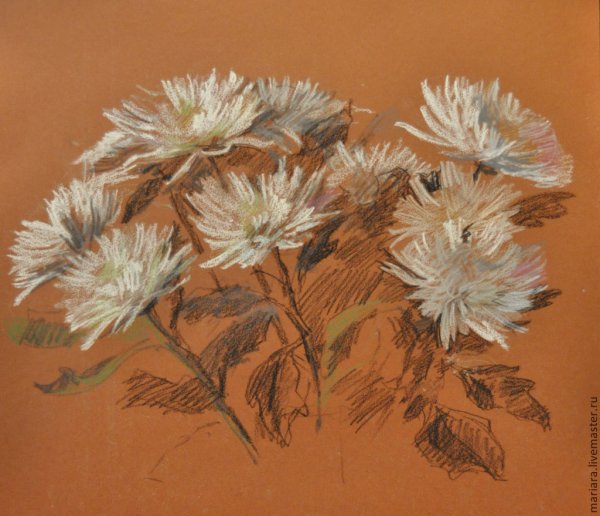 Цветы акварелью астры