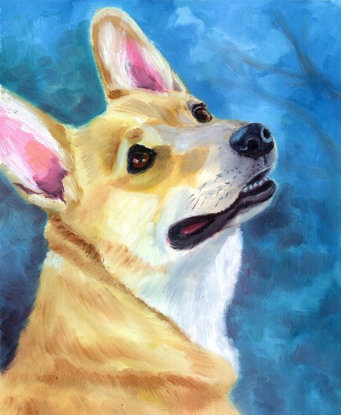 Корги пемброк арт