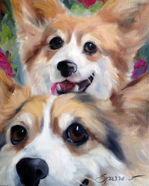 Корги гуашью