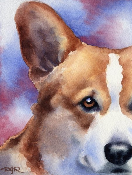 Корги собачка акварель