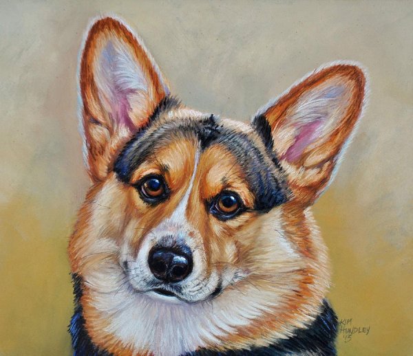 Портрет собаки корги