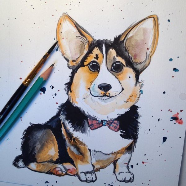Скетчинг корги