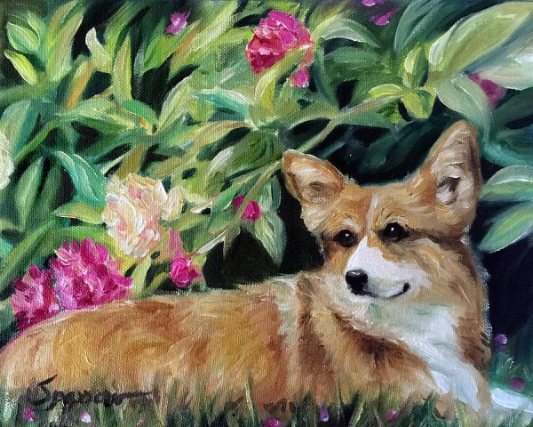 Собака корги акварелью