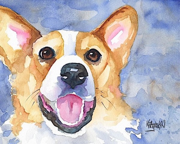 Вельш корги пемброк акварелью