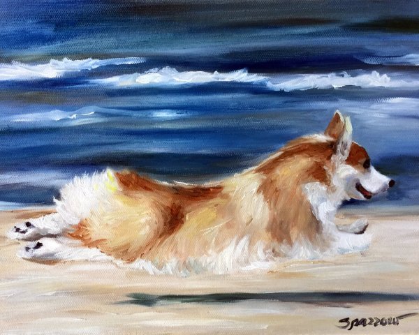 Корги маркерами