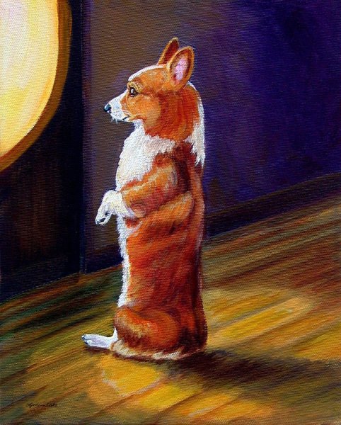 Картина вельш корги