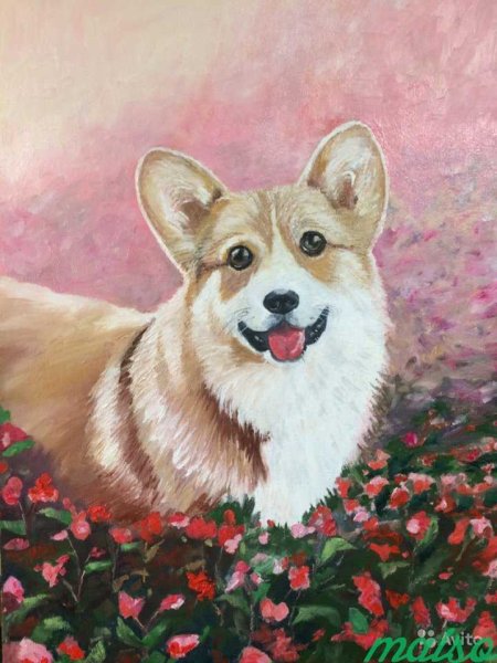 Корги ангел рисунок