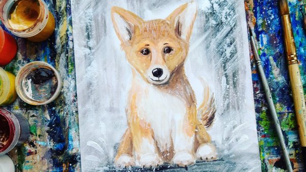 Картина собаки корги