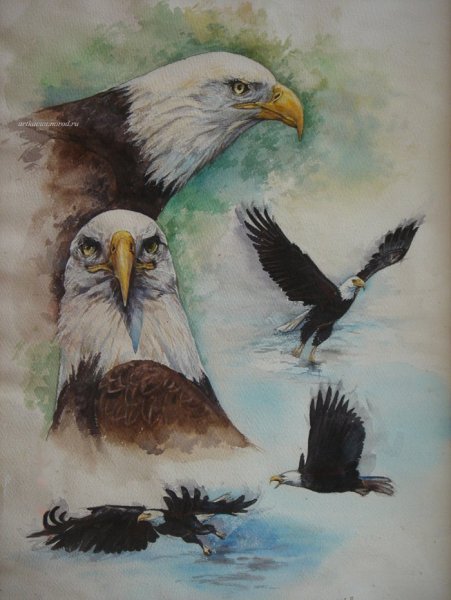 Орлан художник