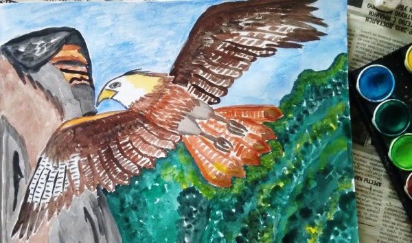 Раскрасить орла красками