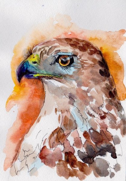 Рисунки акварелью