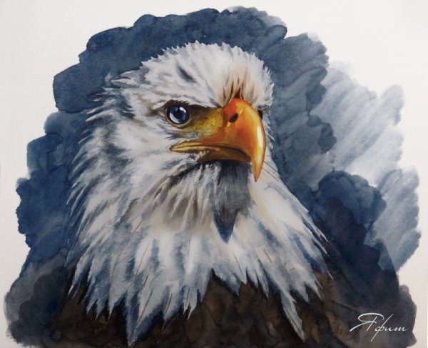 Нарисовать орла красками