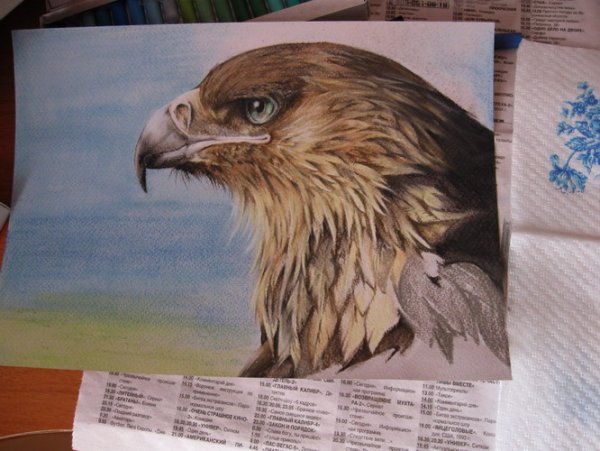 Орел цветными карандашами