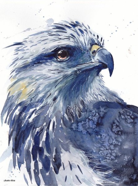 Орел акварель
