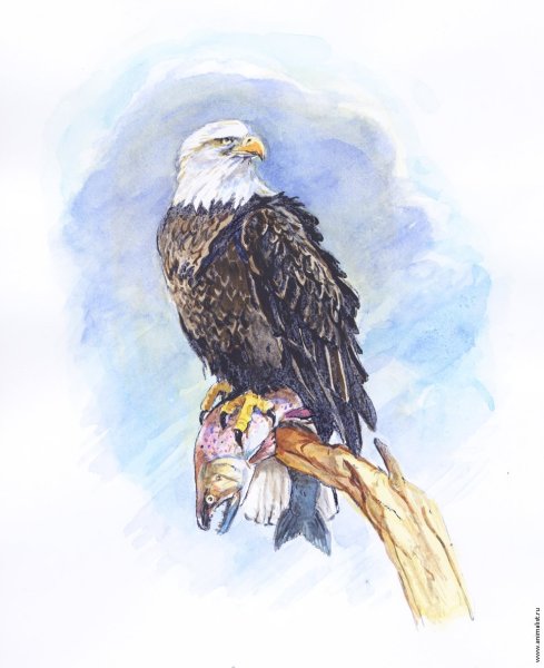 Орео акварелью