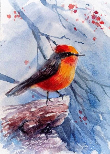 Птицы акварелью