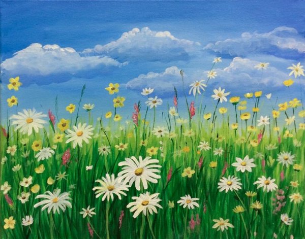 Ромашковое поле для детей