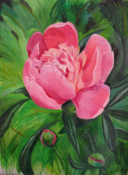 Правополушарное рисование пионы