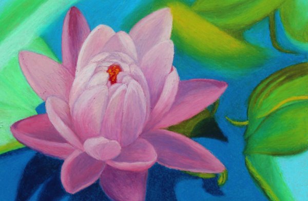 Лотос масляной пастелью