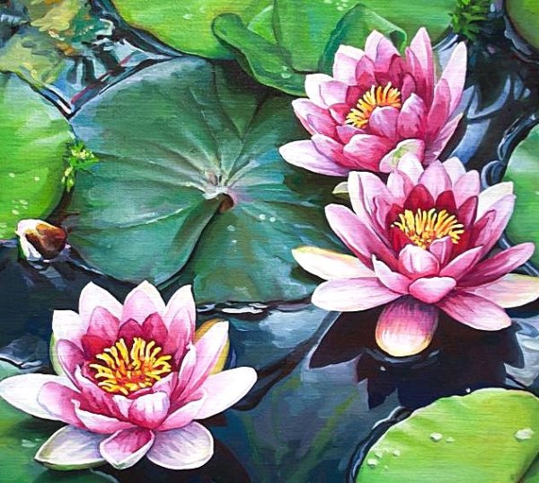 Кувшинки гуашью