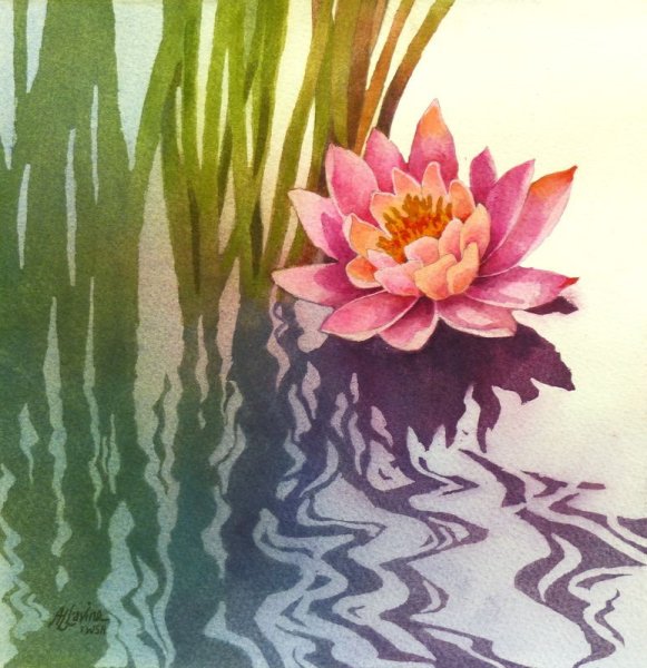 Лотос акварелью для начинающих
