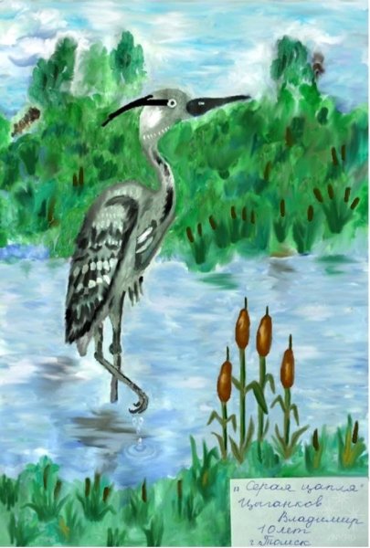 Цапля живопись