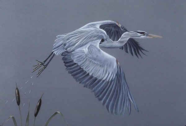 Журавли живопись