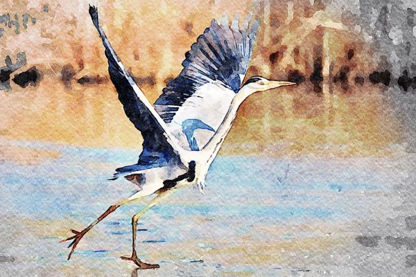 Рисуем гуашью цаплей