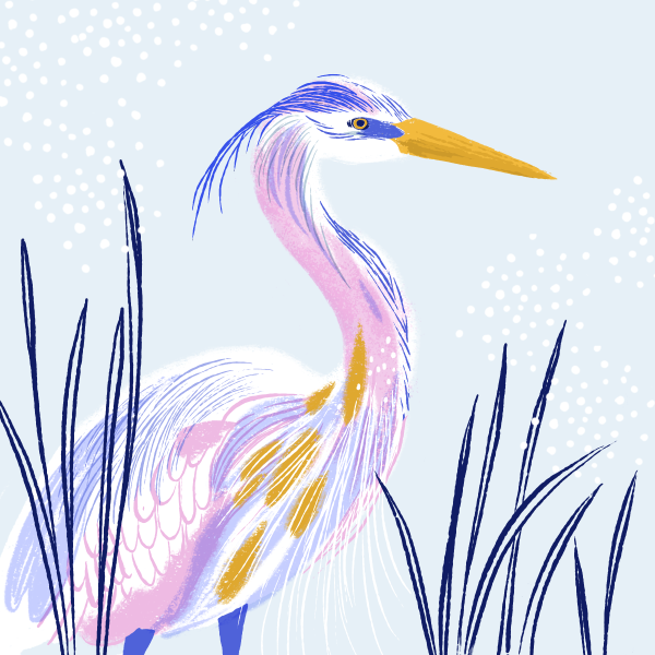 Художник Ben Essenburg