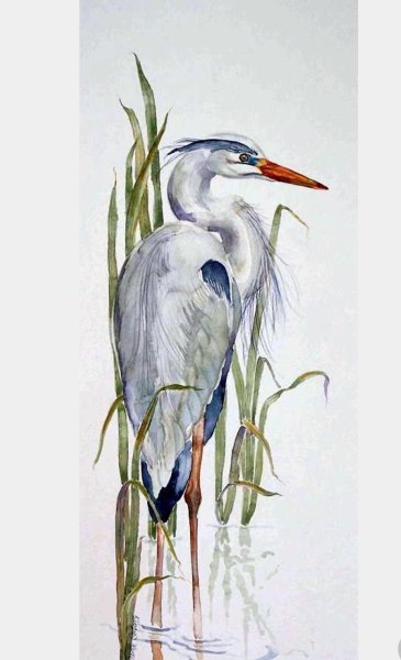 Цапля гуашью