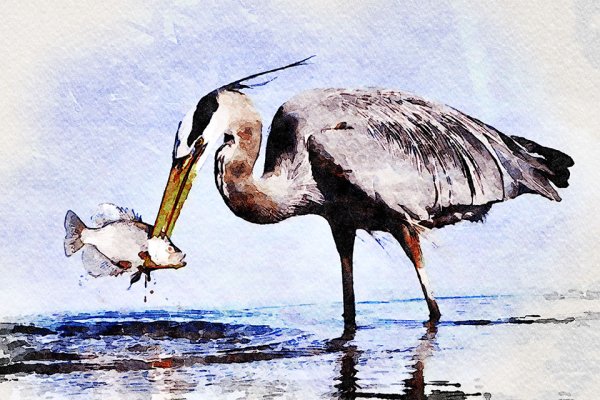 Художник Morten e. Solberg. Акварель